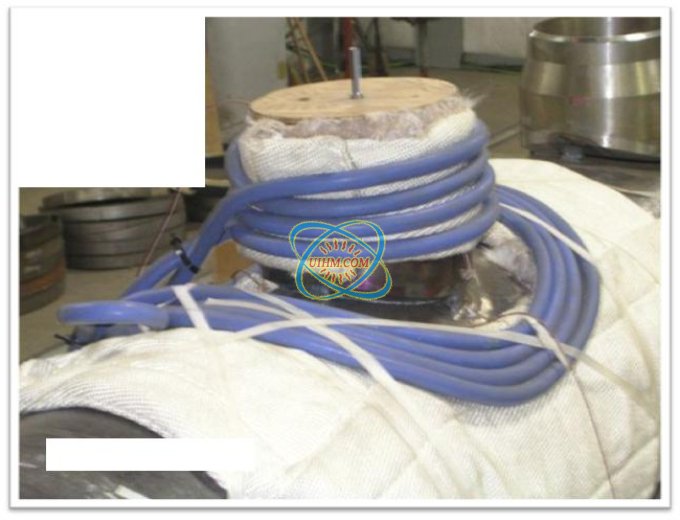 flexible induction coils_1