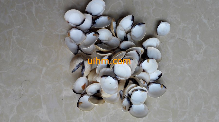 induction melting cowry with graphite crucible (16)